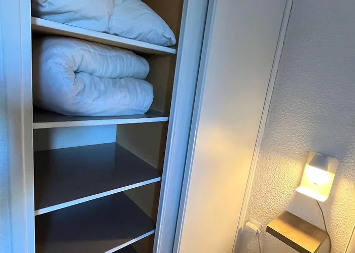 Mitoyenne T2 Climatisee Avec Piscine Et Parking, Vue Pinede - Fr-1-607-237 阿格德