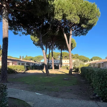 Mitoyenne T2 Climatisee Avec Piscine Et Parking, Vue Pinede - Fr-1-607-237 * 阿格德